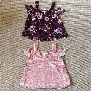 ‼️ 2 Floral and Pink Velvet Tops ‼️